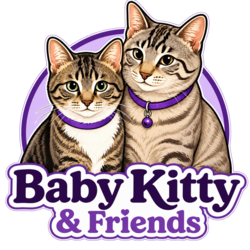 Logo of Baby Kitty &amp; Friends